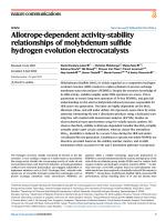 Allotrope-dependent activity-stability relationships of molybdenum sulfide hydrogen evolution electrocatalysts