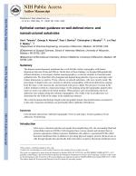 Epithelial contact guidance on well-defined micro- and nanostructured substrates