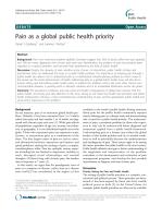 Pain as a global public health priority