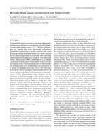 Riverine flood plains: present state and future trends