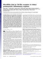 MicroRNAs bind to Toll-like receptors to induce prometastatic inflammatory response