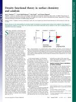 Density functional theory in surface chemistry and catalysis