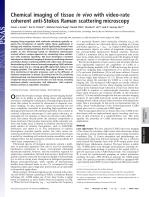 Chemical imaging of tissue in vivo with video-rate coherent anti-Stokes Raman scattering microscopy