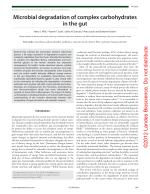 Microbial degradation of complex carbohydrates in the gut