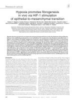 Hypoxia promotes fibrogenesis in vivo via HIF-1 stimulation of epithelial-to-mesenchymal transition