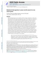 Mutational heterogeneity in cancer and the search for new cancer genes