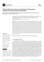 Canine Mammary Tumors: Classification, Biomarkers, Traditional and Personalized Therapies
