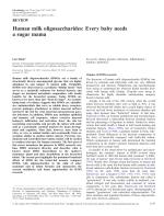 Human milk oligosaccharides: Every baby needs a sugar mama