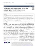 Triple-negative breast cancer molecular subtyping and treatment progress