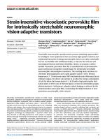 Strain-insensitive viscoelastic perovskite film for intrinsically stretchable neuromorphic vision-adaptive transistors