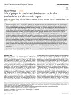 Macrophages in cardiovascular diseases: molecular mechanisms and therapeutic targets