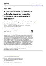 2D multifunctional devices: from material preparation to device fabrication and neuromorphic applications