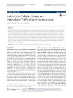 Insight into Cellular Uptake and Intracellular Trafficking of Nanoparticles