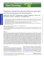 Population comparative genomics discovers gene gain and loss during grapevine domestication