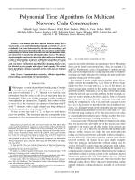 Polynomial Time Algorithms for Multicast Network Code Construction