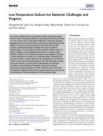Low-Temperature Sodium-Ion Batteries: Challenges and Progress