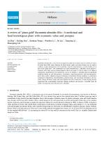 A review of "plant gold" Eucommia ulmoides Oliv.: A medicinal and food homologous plant with economic value and prospect