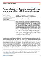 Pore evolution mechanisms during directed energy deposition additive manufacturing