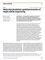Molecular pixelation: spatial proteomics of single cells by sequencing