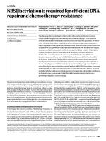 NBS1 lactylation is required for efficient DNA repair and chemotherapy resistance