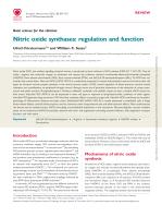 Nitric oxide synthases: regulation and function