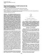 Yeast transformation: A model system for the study of recombination (plasmid integration/double-strand break repair/rad52-1 mutation/DNA repair synthesis)