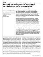 Recognition and control of neutrophil extracellular trap formation by MICL