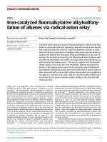 Iron-catalyzed fluoroalkylative alkylsulfonylation of alkenes via radical-anion relay