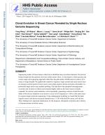 Clonal Evolution in Breast Cancer Revealed by Single Nucleus Genome Sequencing