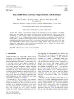 Sustainable blue economy: Opportunities and challenges