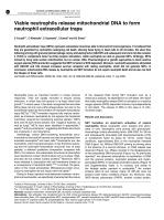 Viable neutrophils release mitochondrial DNA to form neutrophil extracellular traps