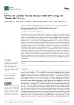 Fibrosis in Chronic Kidney Disease: Pathophysiology and Therapeutic Targets