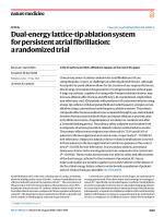 Dual-energy lattice-tip ablation system for persistent atrial fibrillation: a randomized trial