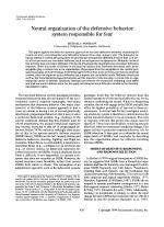 Neural organization of the defensive behavior system responsible for fear