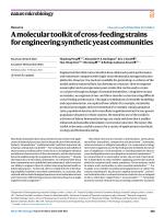 A molecular toolkit of cross-feeding strains for engineering synthetic yeast communities