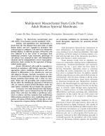 Multipotent Mesenchymal Stem Cells From Adult Human Synovial Membrane