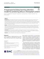 A hyperspectral deep learning attention model for predicting lettuce chlorophyll content