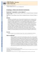 Autophagy: cellular and molecular mechanisms