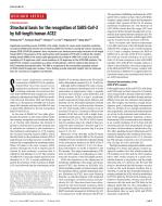 Structural basis for the recognition of SARS-CoV-2 by full-length human ACE2