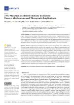 TP53 Mutation-Mediated Immune Evasion in Cancer: Mechanisms and Therapeutic Implications