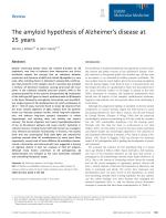 The amyloid hypothesis of Alzheimer’s disease at 25 years