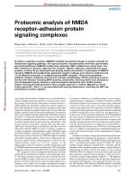 Proteomic analysis of NMDA receptor-adhesion protein signaling complexes