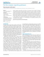 Toll-like receptor signaling pathways
