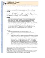 Oxidative stress, inflammation, and cancer: How are they linked?