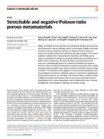 Stretchable and negative-Poisson-ratio porous metamaterials