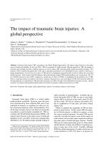 The impact of traumatic brain injuries: A global perspective