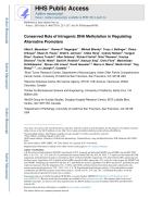 Conserved Role of Intragenic DNA Methylation in Regulating Alternative Promoters