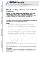 Chromatin accessibility pre-determines glucocorticoid receptor binding patterns