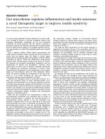 Gut microbiome regulates inflammation and insulin resistance: a novel therapeutic target to improve insulin sensitivity