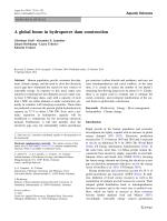 A global boom in hydropower dam construction